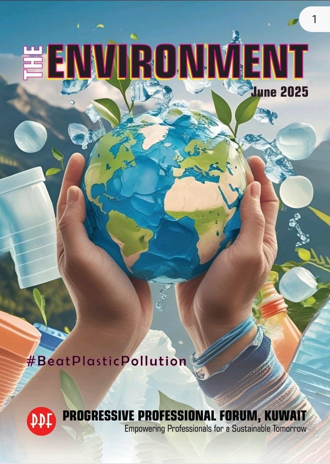 The Environment 25